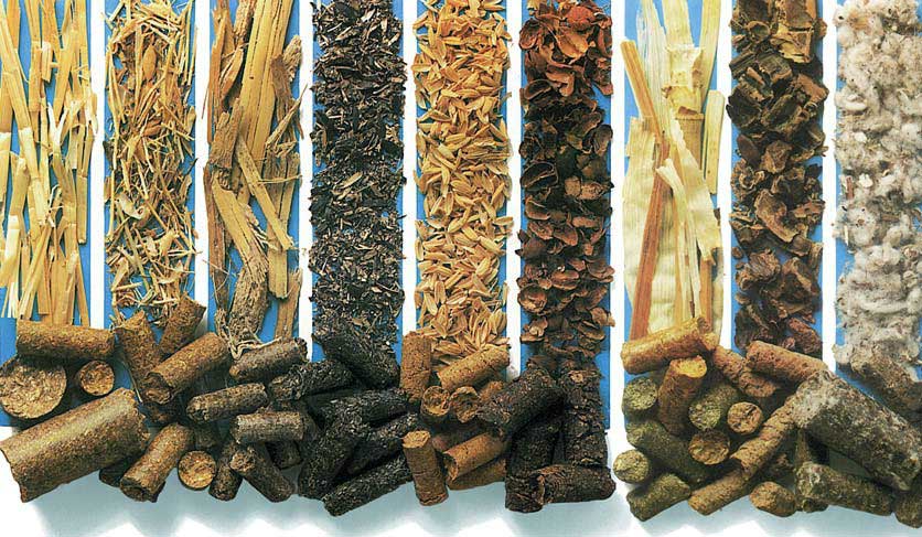 Biomass raw materials