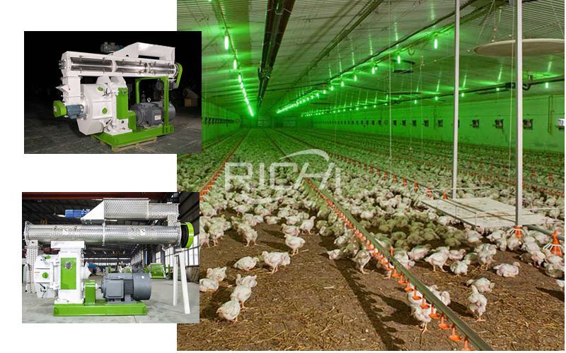 Poultry Feed Pellet Machine