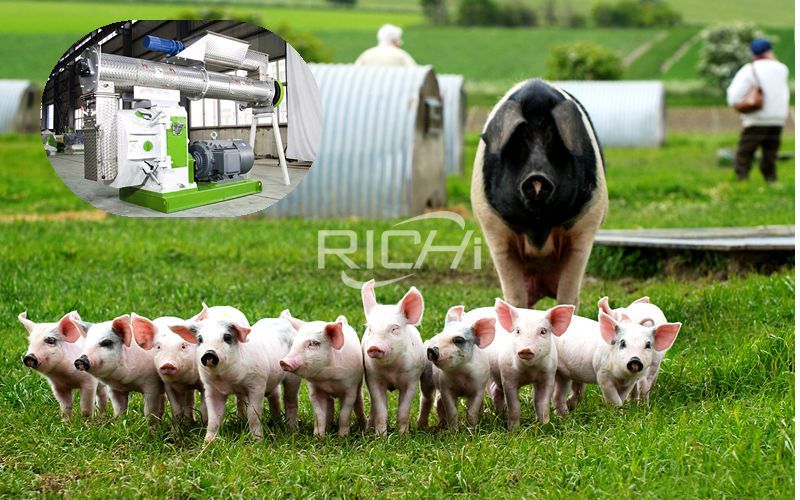 SZLH Series Pig Feed Pellet Machine Price in Nigeria
