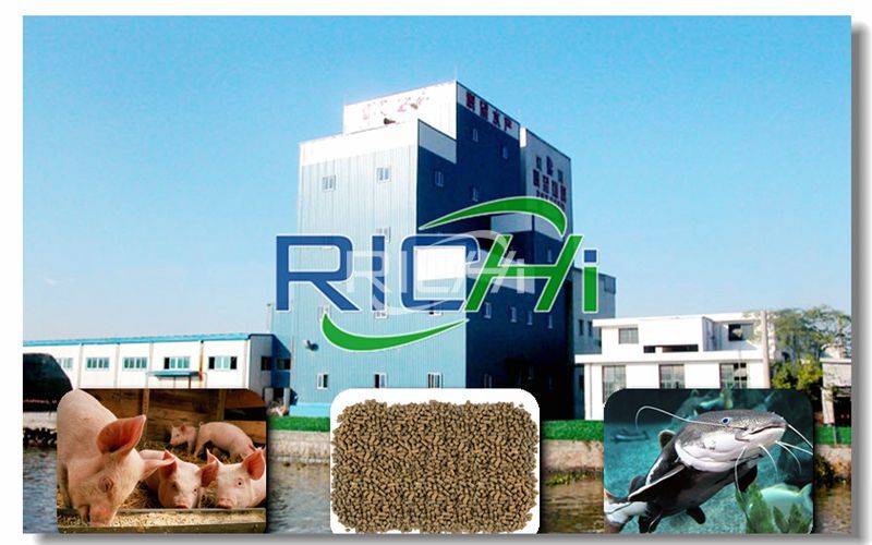 Feed Mill 20 Tons/hour Pig Feed and 5 Tons/hour Fish Feed Combined Pellet Production Line Project