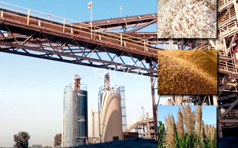 30,000 Tons/year Wood Sawdust, Rice Husk and Reed Residue Biomass Pellet Production Line Project