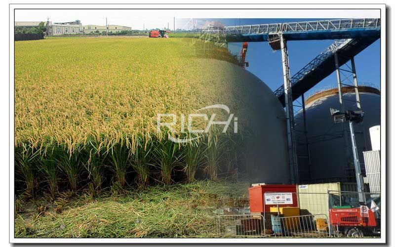 Rice Husk Biomass Pellet Machine Production Line Project