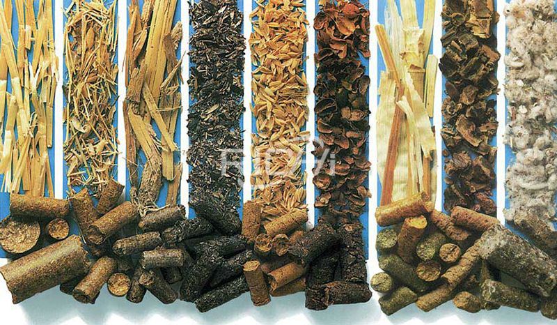 What Are the Raw Materials of the Biomass Pellet Machine?