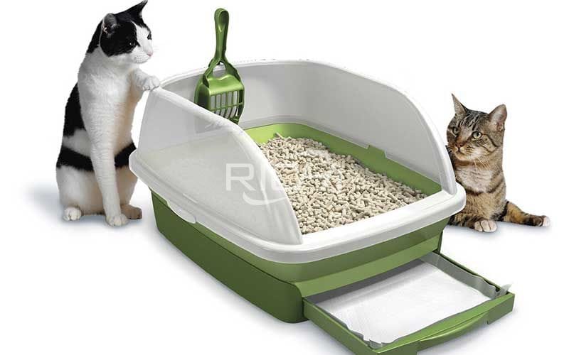 Cat Litter