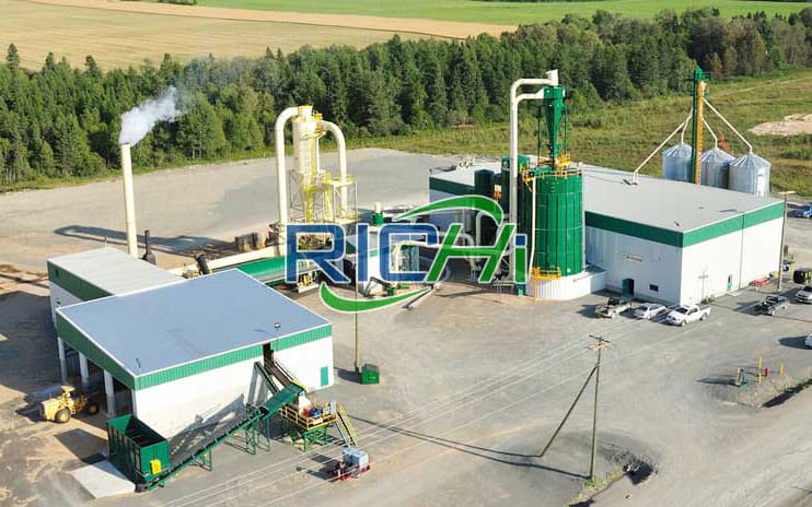 Ukraine Small Capacity 500-700KG/H Beech Wood Pellet Line