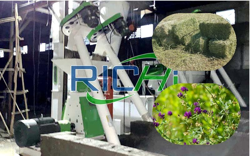 Scientifically Formulated Forage Grass Pellet Feed Processing Production Line Project