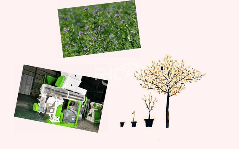 Grass/Alfalfa Pellet Machine