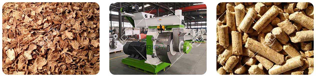 How to Build a Peanut Shell Pellet Mill Production Line