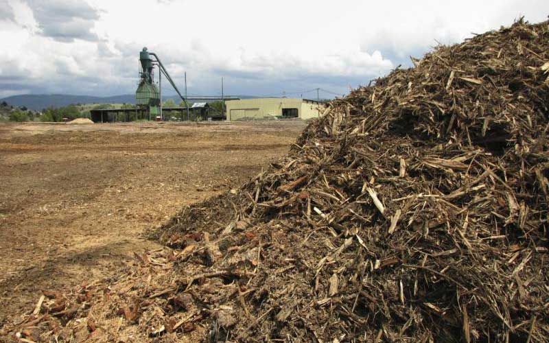 Wood and Plant Residues Waste