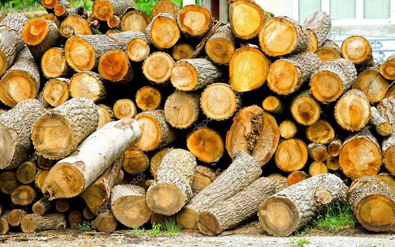 Planned largest US Wood Pellet Mill Plant coming to Arkansas