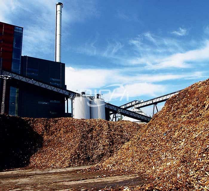large biomass wood pellet mill plant