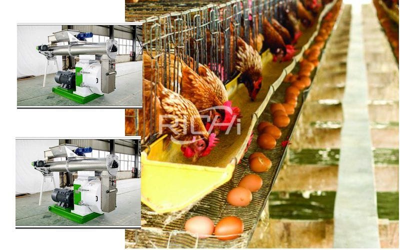 chicken food making machine