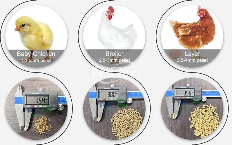 chicken feed pellet