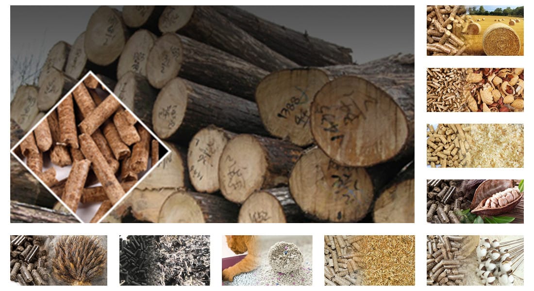 Raw materials for biomass pellet production