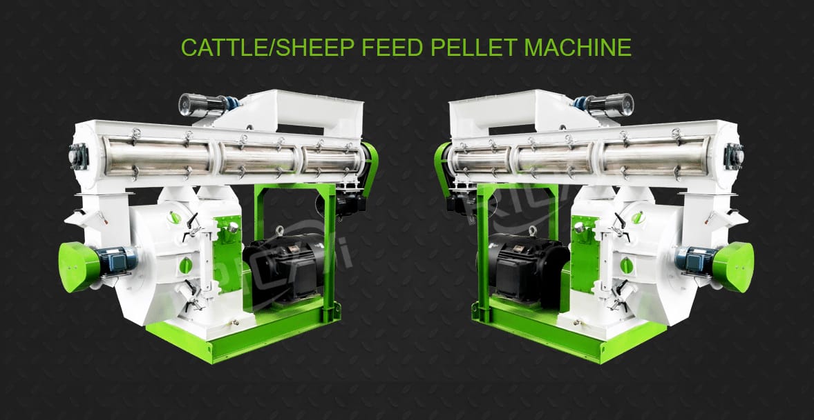 Pelleting of feed in cattle feed plant