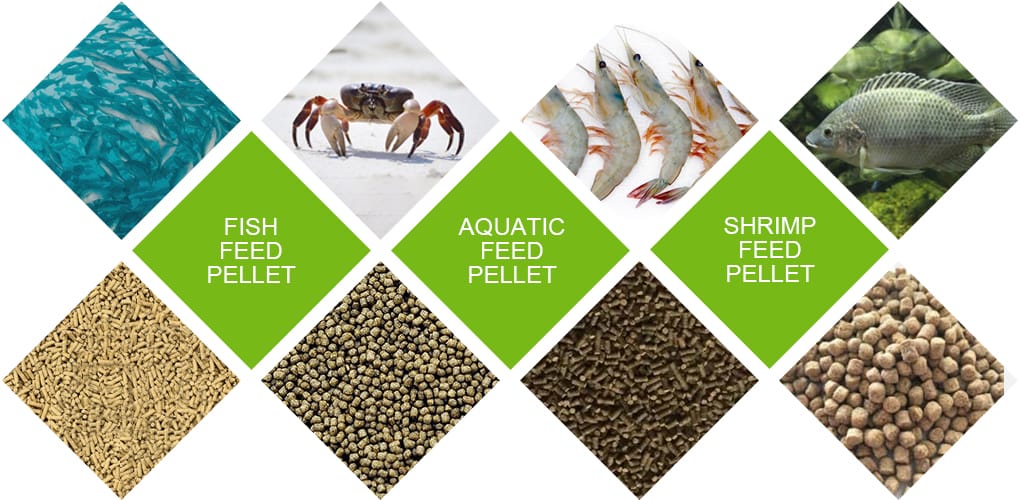 Complete fish feed factory for sale