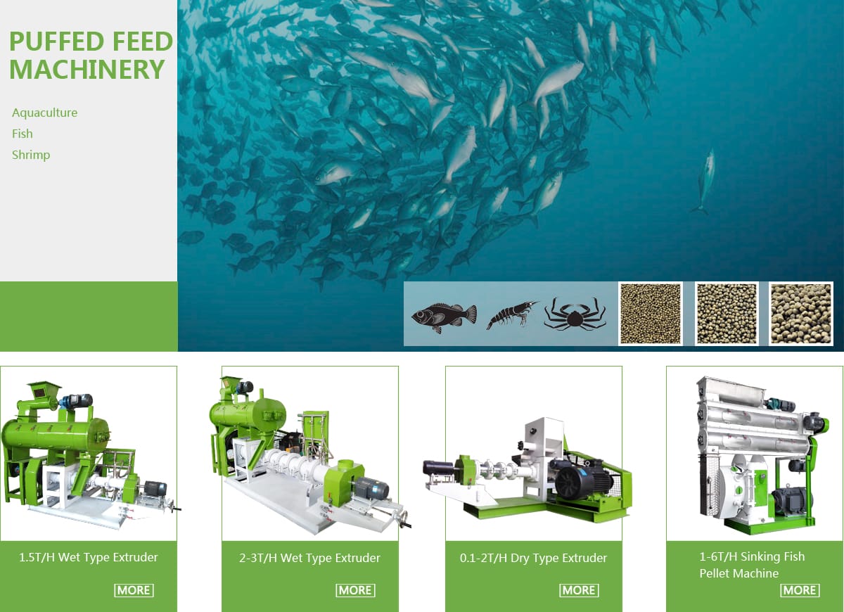 Fish feed manufacturing process