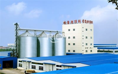20T/H Pig Feed Factory Business Plan