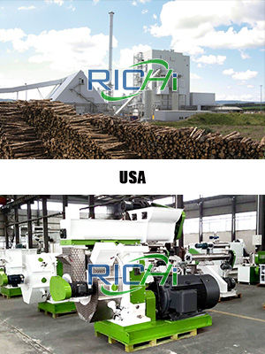 10T/H wood pelletizer equipment for sale USA