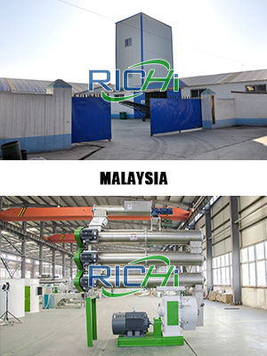 Pelletizer machine Malaysia
