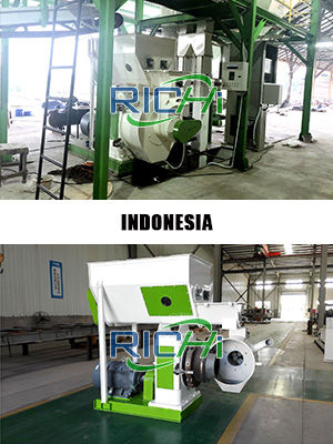 1-1.5T/H wood pelletizer for sale Indonesia