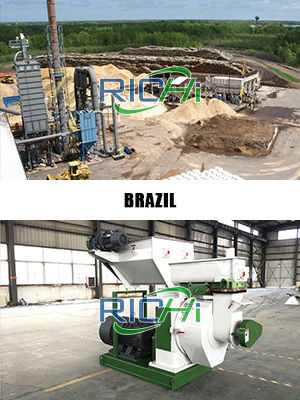 1-2T/H Wood pelletizer for sale Brazil