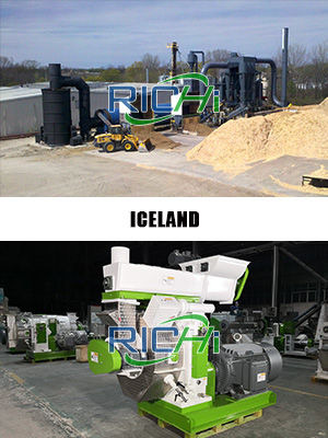 1T/H Iceland pelletizer machine for wood