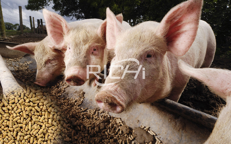 How to choose pig feed making machine