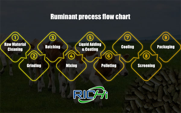 Ruminant animal feed manufacturing process