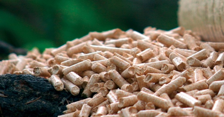 Meet ISO Wood Pellet Standard Certification For Global Market With Wood Pellet Machine