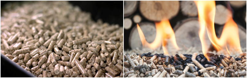 DINplus Certification For Germany Wood Pellet Fuel