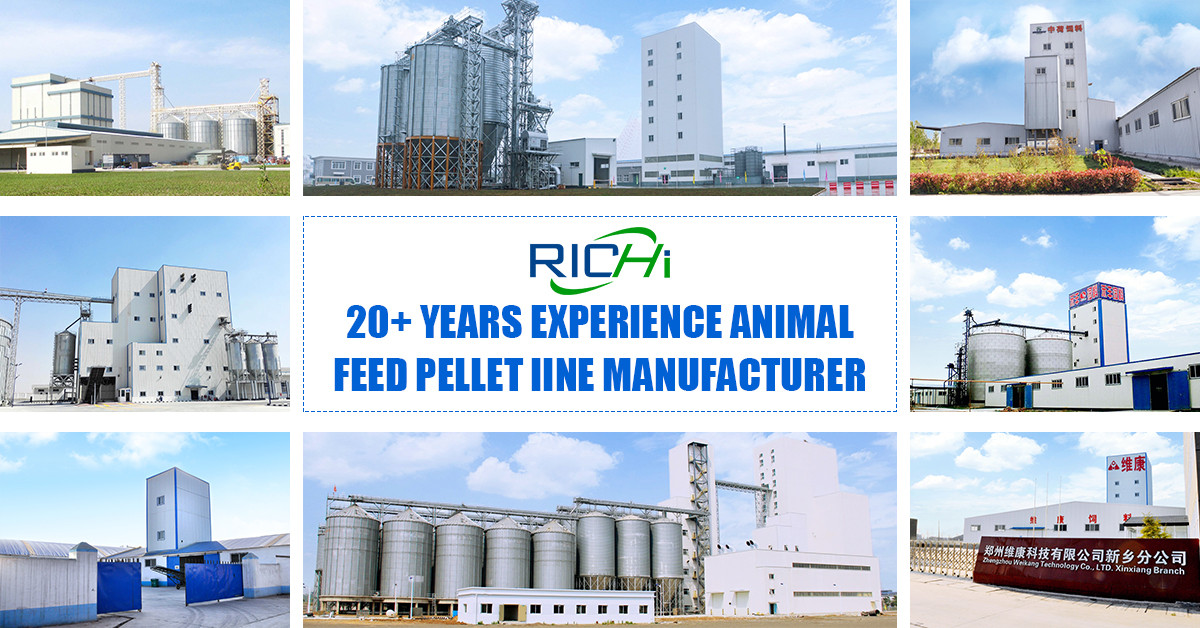 animal feed pellet mill process
