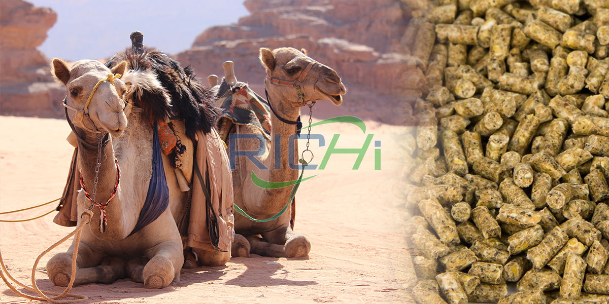 goat feed pellet machine price in india