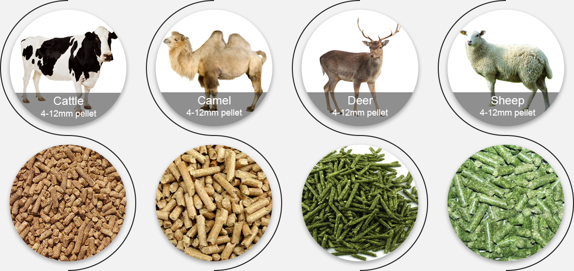 how to make a feed pellet machine