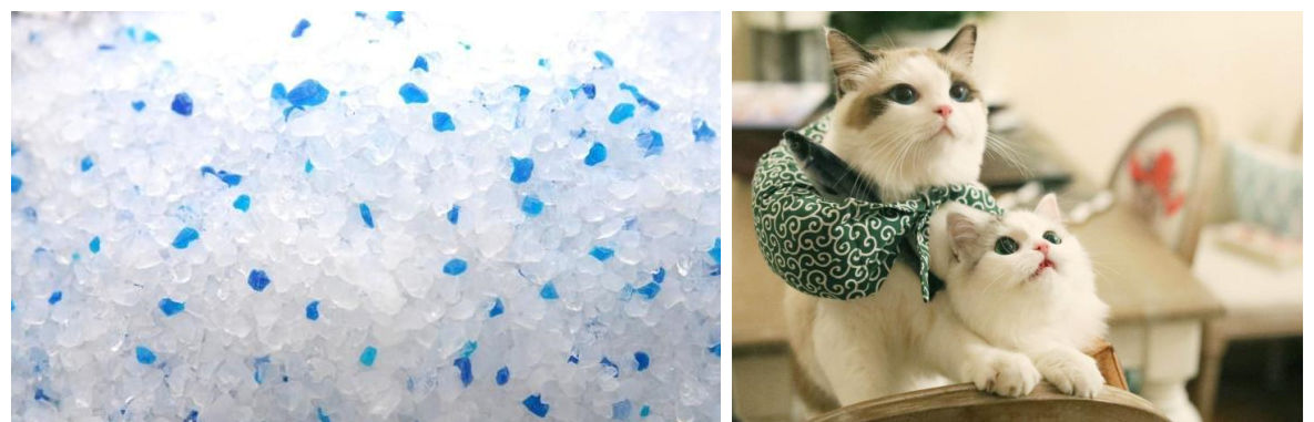 Specifications of crystal cat litter by cat litter pellet machine