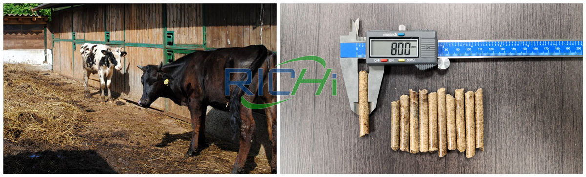 cattle feed pellet machine in coimbatore