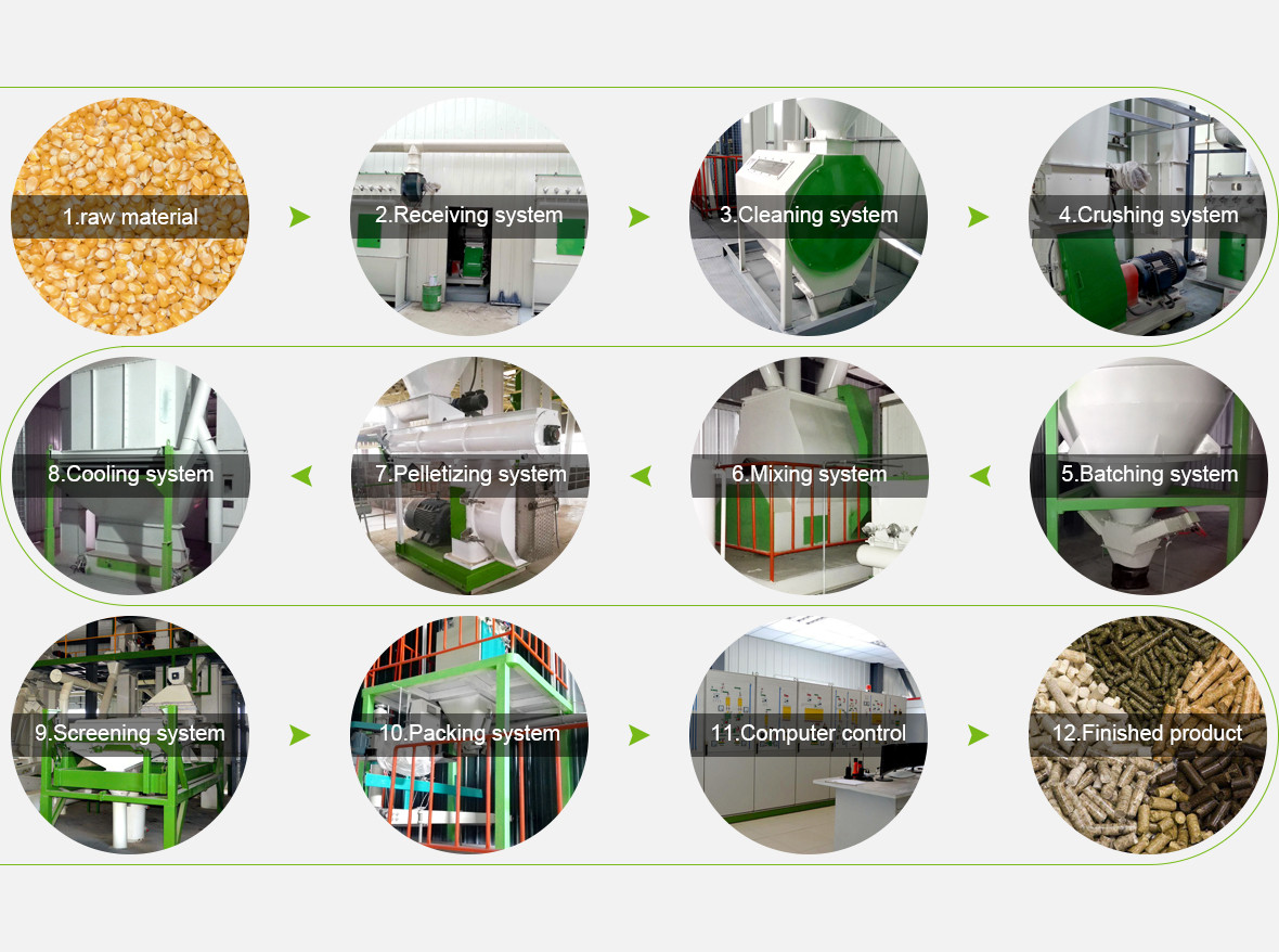 cattle feed pellet machine in gujarat
