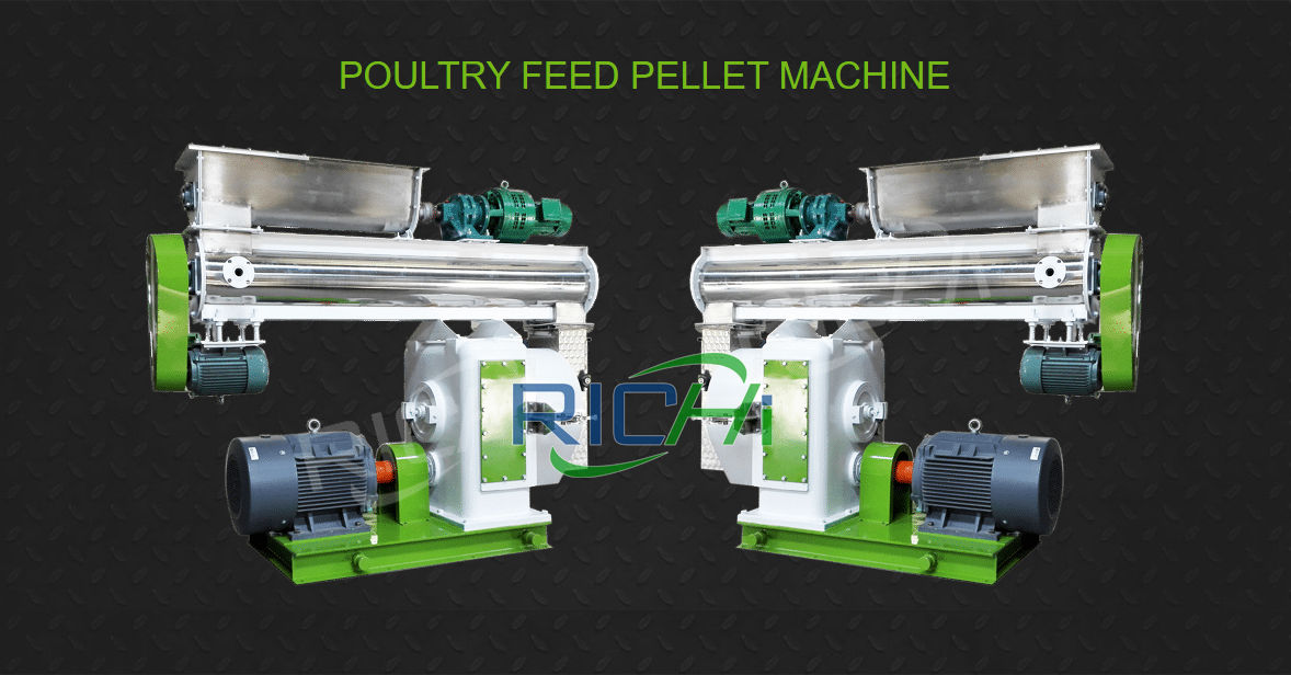 poultry feed making machine south africa