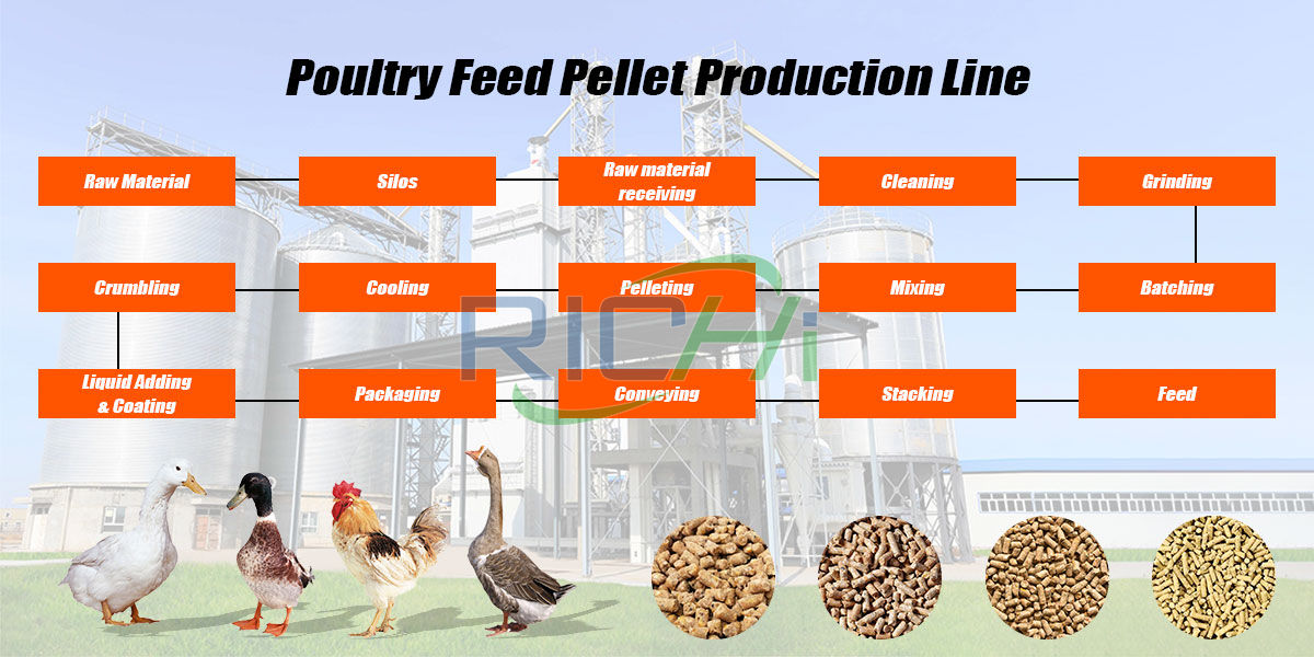 Poultry Feed Production Line 