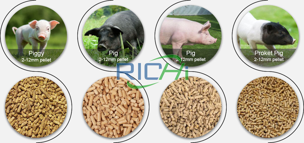 pig feed plant manufactures from china