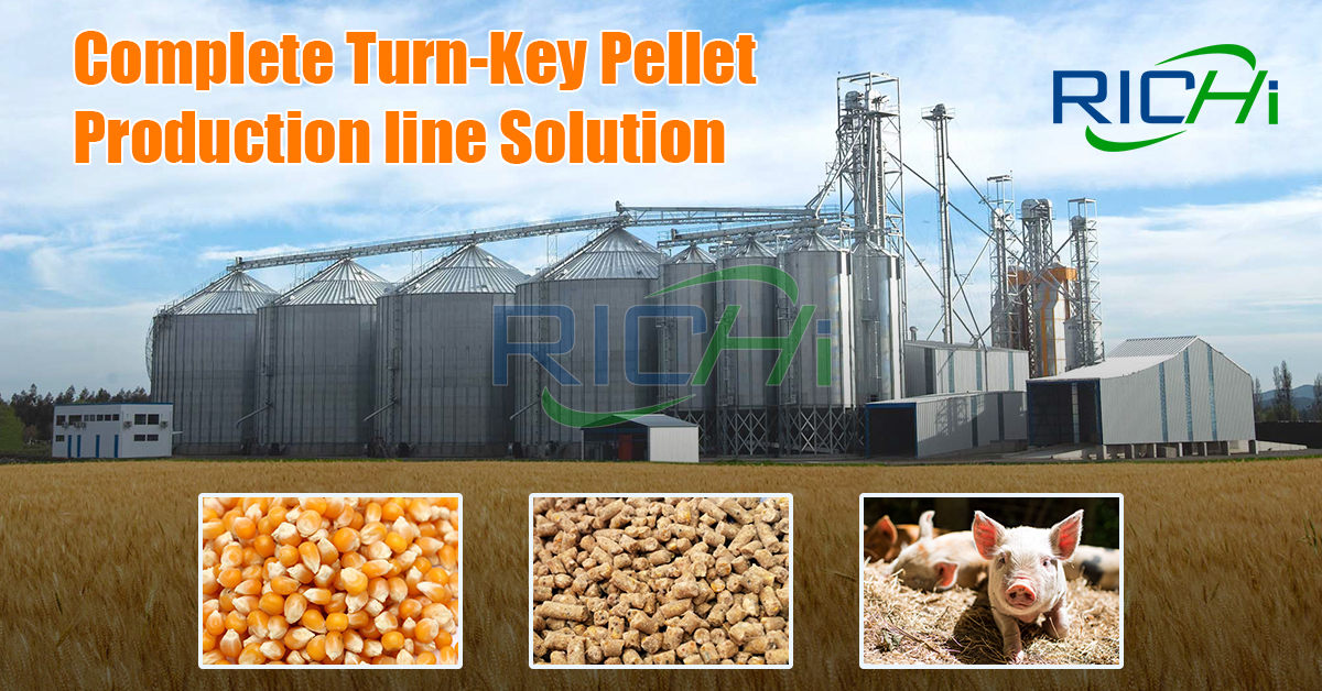 Pig Feed Pellet Production Line