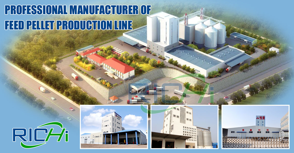 cattle feed plant manufacturer