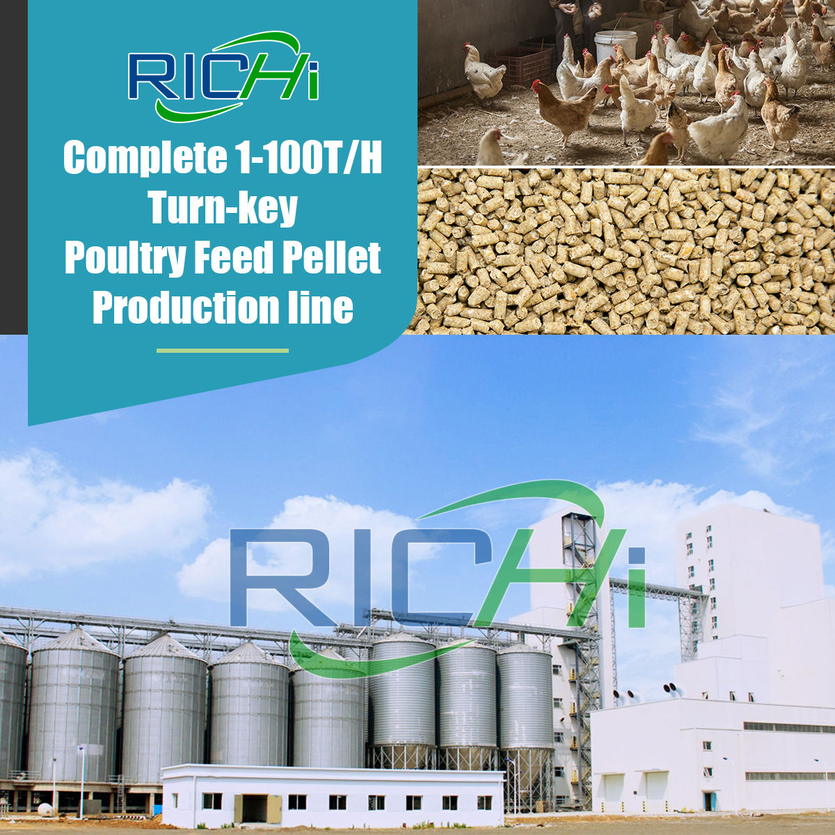 poultry feed manufacturing project report