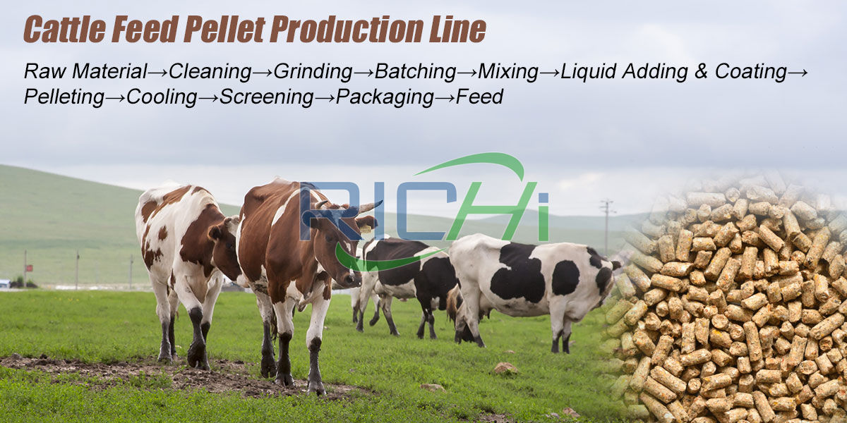 cattle feed manufacturing process