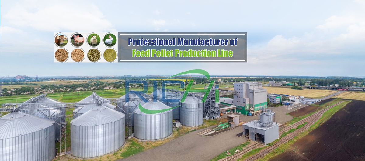 Poultry livestock pellet feed line