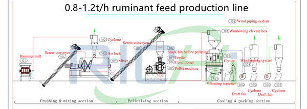 1-1.2T/H small capacity ruminant feed production process