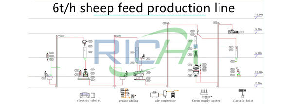 5-6T/H sheep feed making process