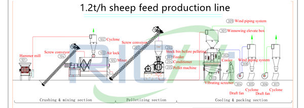 1-1.2T/H small capacity sheep feed production process