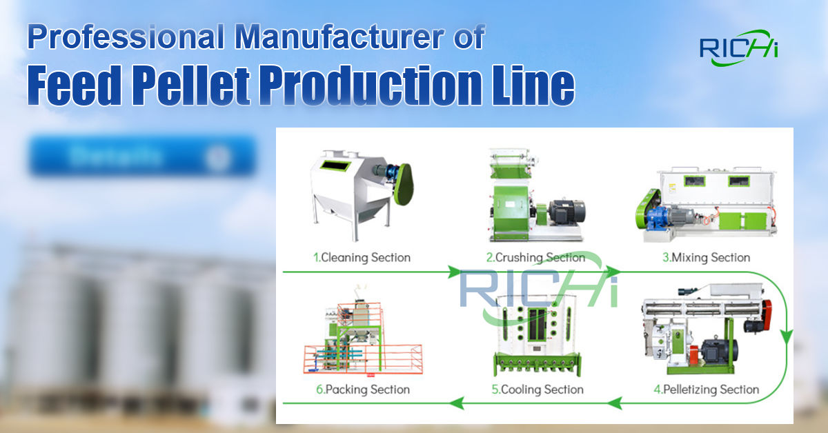 animal feed pellet plant ring die feed pellet production line