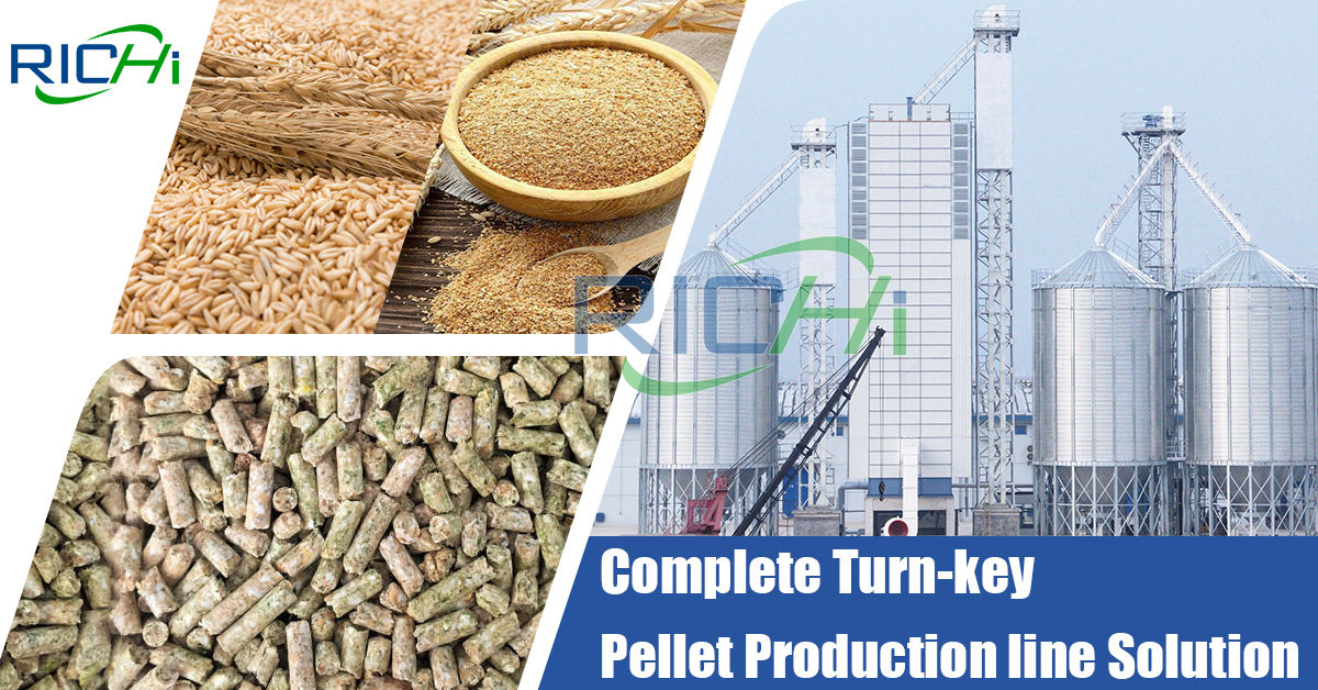 animal feed pellet plant ring die feed pellet production line